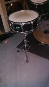 1979 Ludwig Black Cortex