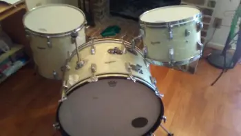 Rogers Drums