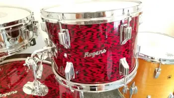 Rogers local find