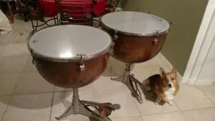 What are these Tympani's worth?